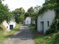 /album/fotogalerie-2011-hodonin/p7020089-jpg/